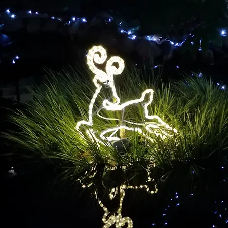 Architect House * Porto