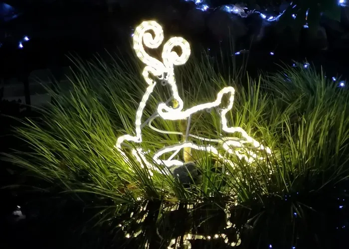 Architect House * Porto